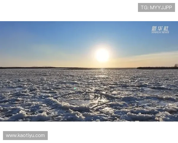 周防雪子：冰雪中的绽放，静谧中的力量
